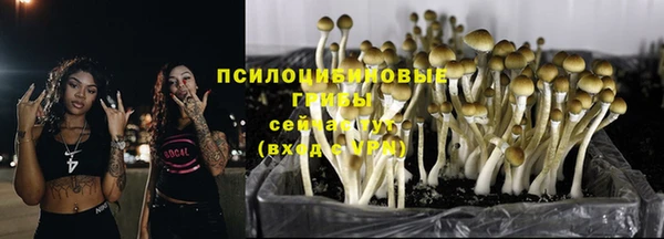 стаф Медвежьегорск