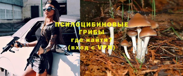 соль курить ск Вяземский